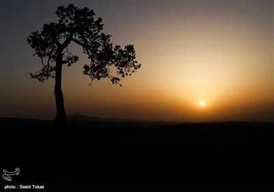 خراسان شمالی با داشتن بيش از 410 هزار هكتارجنگل ارس،یکی از ذخیره گاه های این میراث طبیعی کشور محسوب میشود