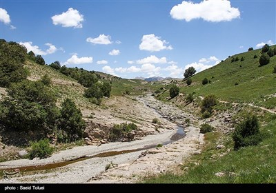 خراسان شمالی با داشتن بيش از 410 هزار هكتارجنگل ارس،یکی از ذخیره گاه های این میراث طبیعی کشور محسوب میشود