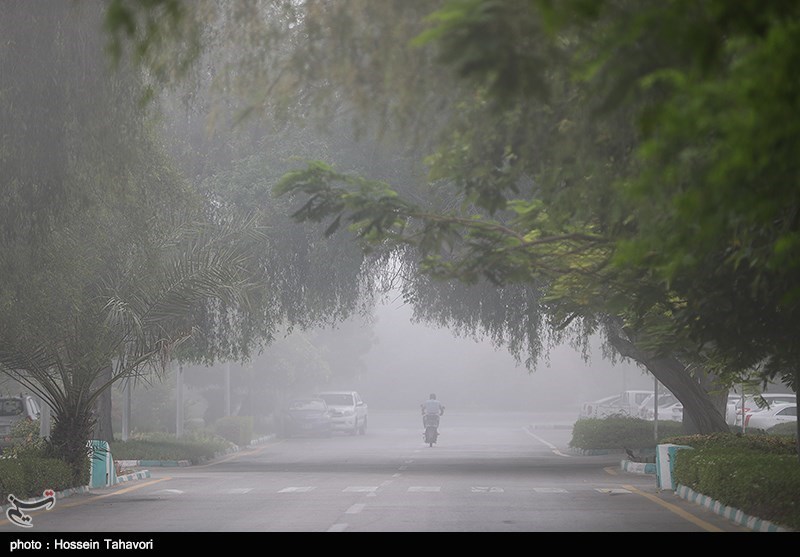 جاده های ایلام مه گرفته و غبارآلود است