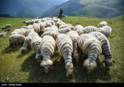 طبیعت سوباتان