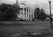 Oak Tree Symbolizing France-US Friendship Dies