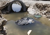 کشاورزی با آب آلوده در جنوب شهر یاسوج؛ بازی با سلامتی مردم بیخ گوش مسئولان+فیلم