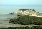 100 هزار اصله نهال حرا در سواحل منطقه حفاظت شده استان بوشهر کاشته شد