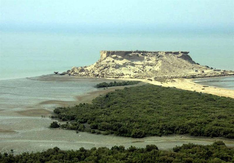 100 هزار اصله نهال حرا در سواحل منطقه حفاظت شده استان بوشهر کاشته شد