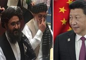 رایزنی معاون سیاسی رهبر طالبان با مقامات چینی پیش از دور هفتم مذاکرات صلح با آمریکا