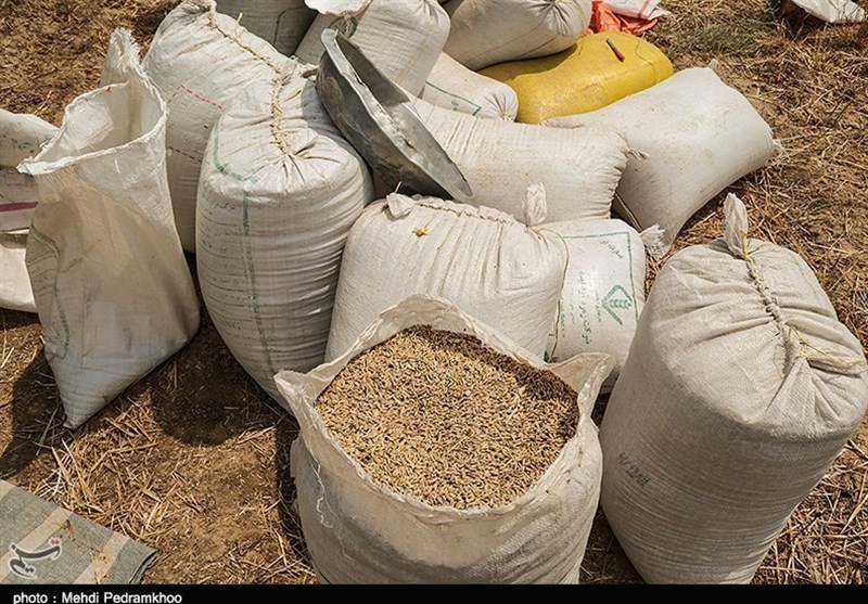 کردستان| 15 تن گندم قاچاق در شهرستان قروه کشف شد