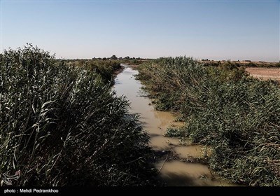 آب این رودخانه از کانال «وصیله» تأمین می‌شود و حدود ۳۰ هزار هکتار از اراضی ناخالص اطراف را تحت پوشش قرار می‌دهد در سیلاب اخیر خروجی سد کرخه تا بیش از ۲ هزار مترمکعب درثانیه نیز افزایش یافت که باعث زیر آب رفتن بخش‌های زیادی از روستاها و اراضی کشاورزی شهرستان‌های مسیر این رودخانه اعم از شوش، حمیدیه و هویزه شد