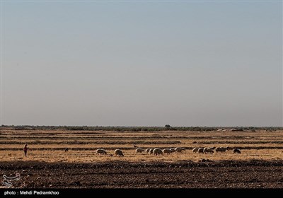 آب این رودخانه از کانال «وصیله» تأمین می‌شود و حدود ۳۰ هزار هکتار از اراضی ناخالص اطراف را تحت پوشش قرار می‌دهد در سیلاب اخیر خروجی سد کرخه تا بیش از ۲ هزار مترمکعب درثانیه نیز افزایش یافت که باعث زیر آب رفتن بخش‌های زیادی از روستاها و اراضی کشاورزی شهرستان‌های مسیر این رودخانه اعم از شوش، حمیدیه و هویزه شد