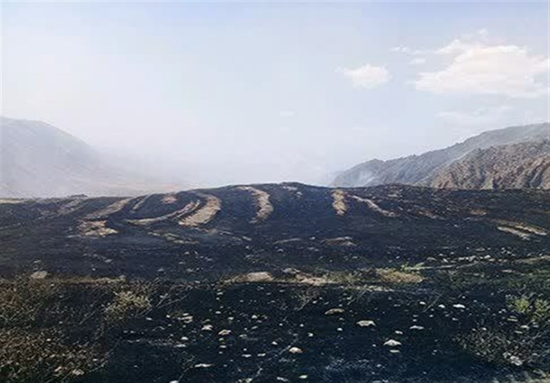 25هکتار از مراتع «وزکور» کوهدشت در آتش سوخت