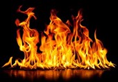 زنجان| 76 هکتار از اراضی و مراتع شهرستان ماهنشان در آتش سوخت
