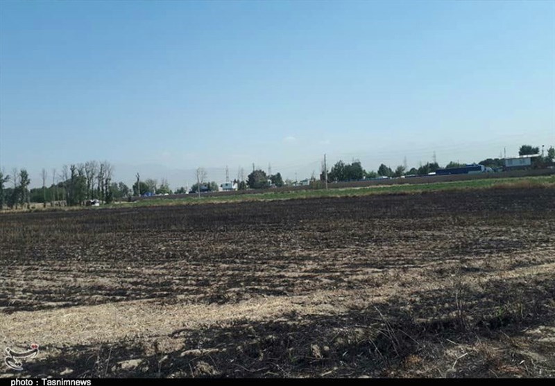 آتش سوزی مزارع دو کوهه رشنو پلدختر؛ 8 هکتار از دسترنج کشاورزان خاکستر شد