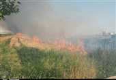 آتش‌سوزی نیزارهای آبراه اروند خرمشهر مهار شد