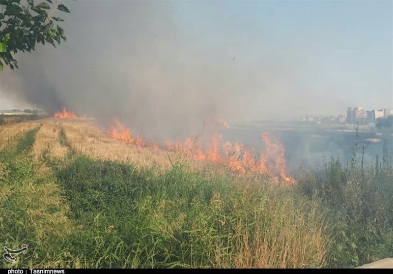 تهران| آتش زدن بقایای محصولات کشاورزی در اسلامشهر؛ تکرار اشتباه مرسوم و تهدید سلامت مردم+تصاویر
