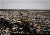 انباشت زباله چه بر سر مناطق «میشداغ» و «ام‌الدبس» خوزستان آورده است؟ + تصاویر