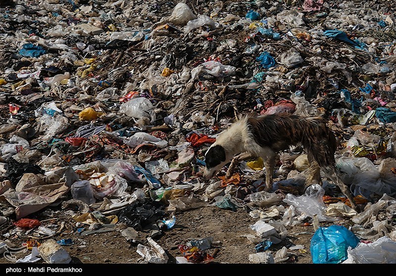 سایت دفع پسماند کردستان به سایت دپوی زباله بدل شده است
