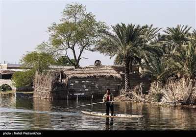 تالاب بین‌المللی شادگان