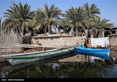 تالاب بین‌المللی شادگان