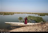 تالاب بین‌المللی شادگان