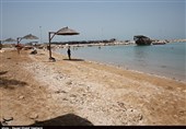 50 درصد شناگاه‌های استان بوشهر در وضعیت بحرانی قرار دارد