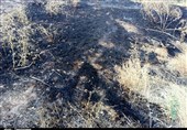 50 هکتار از اراضی پلدختر در آتش سوخت
