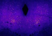 Research Proposes New Avenue in Search for Anti-Obesity Drugs