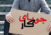 825 نفر با سامانه جستجوی شغل در سیستان‌ و بلوچستان شاغل شدند