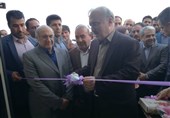وزیر بهداشت در کرمان: مشکل نیروهای شرکتی بیمارستان آیت‌الله کاشانی جیرفت برطرف می‌شود