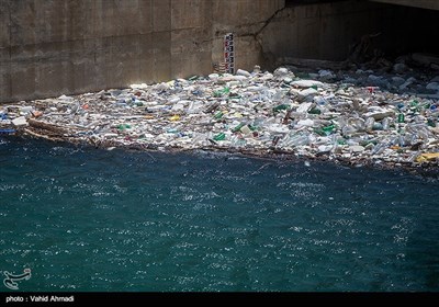 زباله های انباشته شده درسطح آب