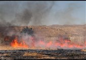 مهار آتش‌سوزی ‌مزارع گندم در زنجان+ تصاویر‌