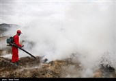 42 هکتار از پوشش گیاهی استان اصفهان طعمه حریق شد