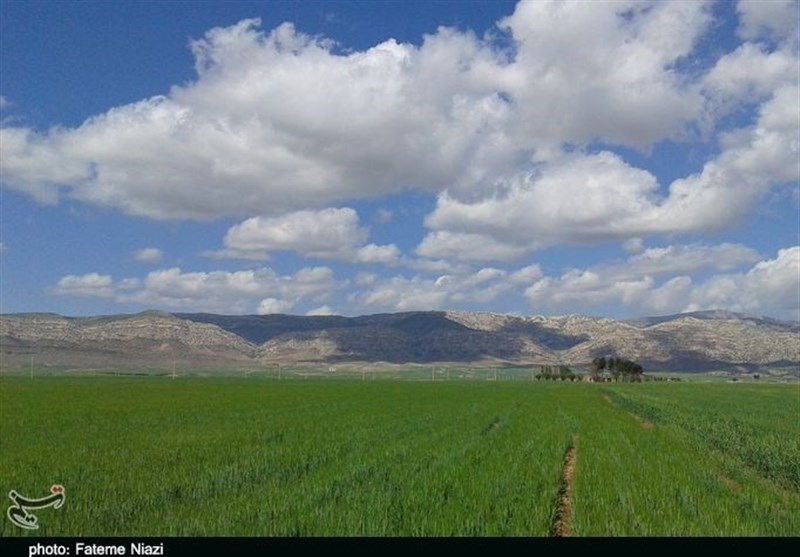 قرارگاه بازسازی با محوریت کشاورزی درشهرستان‌های خراسان جنوبی راه اندازی می شود