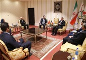 دیدار سفیر ترکیه با صالحی امیری