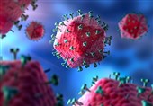 Researchers Eliminated HIV from Genomes of Living Animals