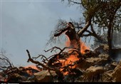 آخرین وضعیت آتش‌سوزی جنگل‌های هیرکانی/ وجود 4 نقطه بحرانی در شرق گلستان
