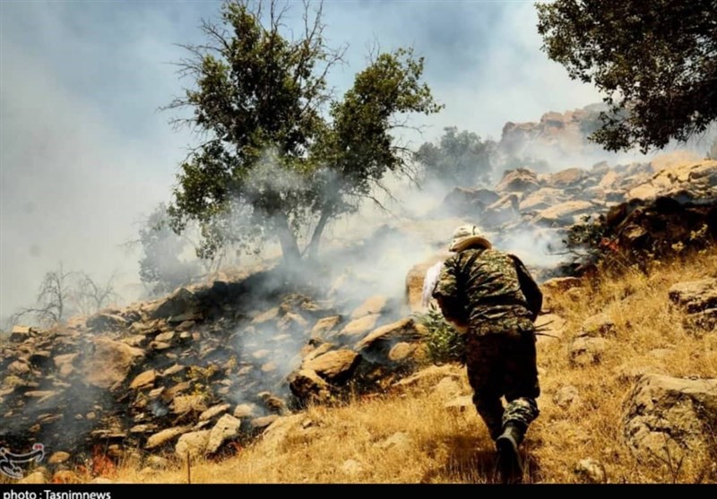 پویش &quot;نه به آتش سوزی جنگل‌ها&quot; گامی در راستای حفظ منابع طبیعی ایران