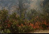 جنگل‌های حاشیه رود ارس در نوار مرزی پارس‌آباد با جمهوری آذربایجان آتش گرفت