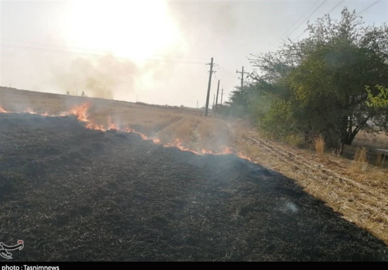 ایجاد گشت هوایی برای اولین بار در کشور به جهت کنترل آتش‌سوزی مراتع ایلام انجام می‌شود