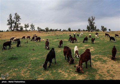 طبیعت بیابان الهایی