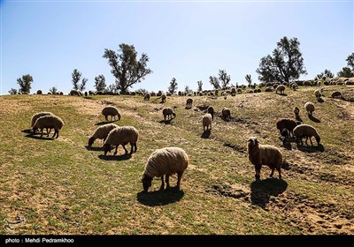 طبیعت بیابان الهایی