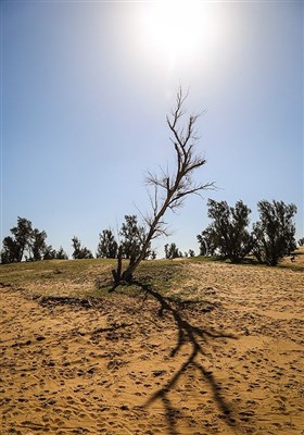 طبیعت بیابان الهایی