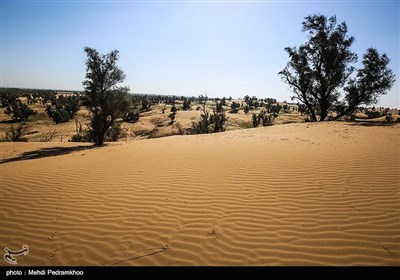 طبیعت بیابان الهایی