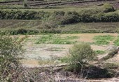 خسارت میلیاردی سیل به کشاورزی خراسان جنوبی