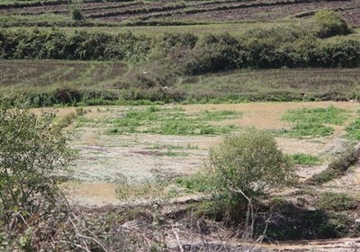 خسارت میلیاردی سیل به کشاورزی خراسان جنوبی