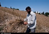 تکمیل طرحهای روستایی استان البرز بیش از 2 هزار شغل ایجاد کرد/ کاهش نرخ بیکاری در روستاهای استان