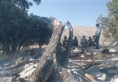 آتش بی‌رحمانه مراتع و جنگل‌های طسوج چرام را سوزاند + تصاویر