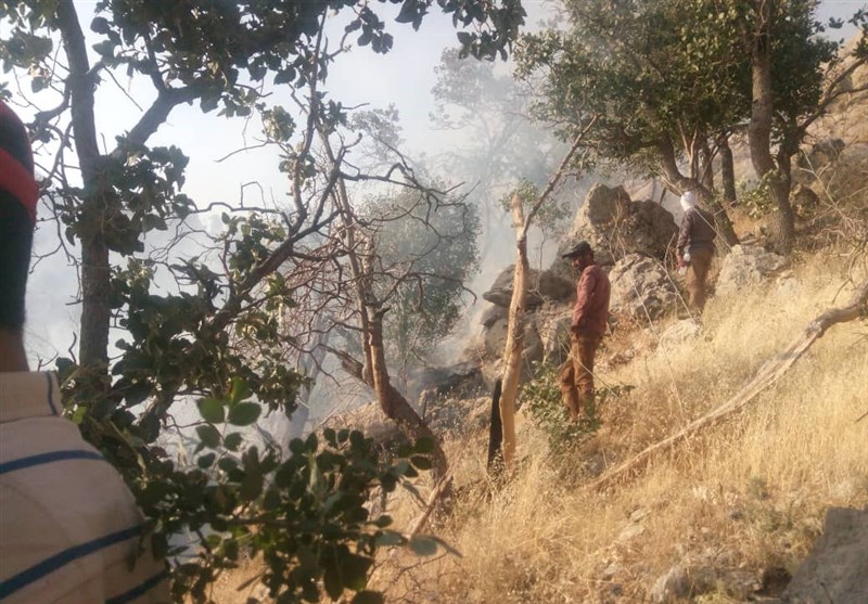 سمنان| آتش مراتع مشرف‌ به جنگل ابر را سوزاند