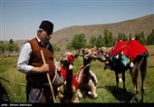 کهگیلویه مقام اول کشوری را در پنجمین جشنواره ملی فرهنگ و عشایر ایران کسب کرد