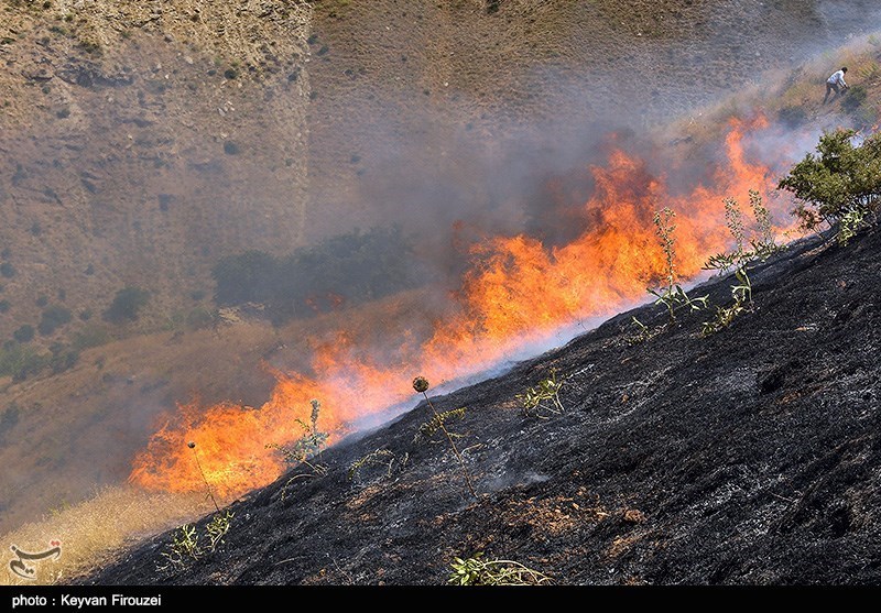 آتش‌سوزی کوه آبیدر سنندج به‌روایت تصویر