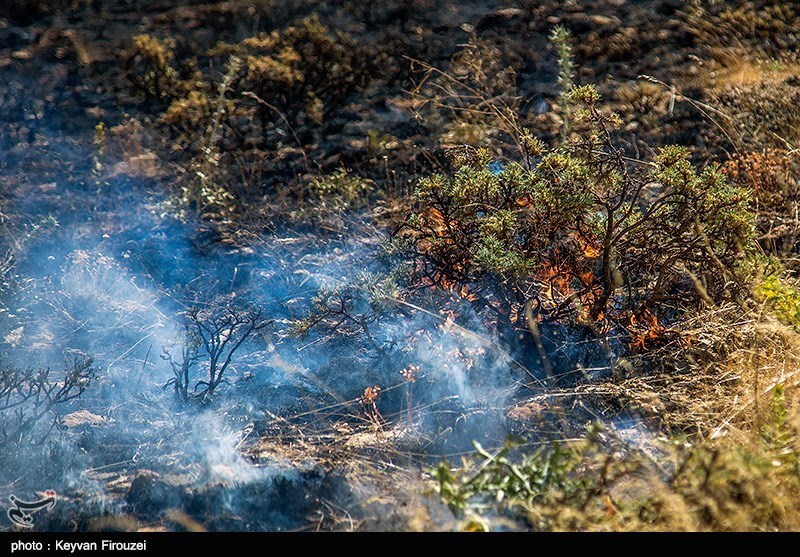 قزوین| برخورد با آتش افروزان در باغات و مزارع استان به شدت صورت می‌گیرد