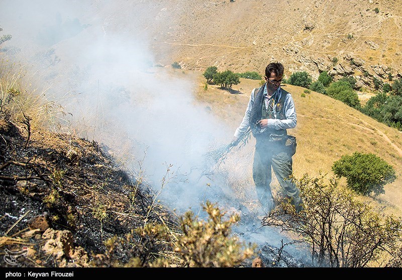 کنترل آتش در جنگل‌های استان فارس؛ پایش منطقه ادامه دارد